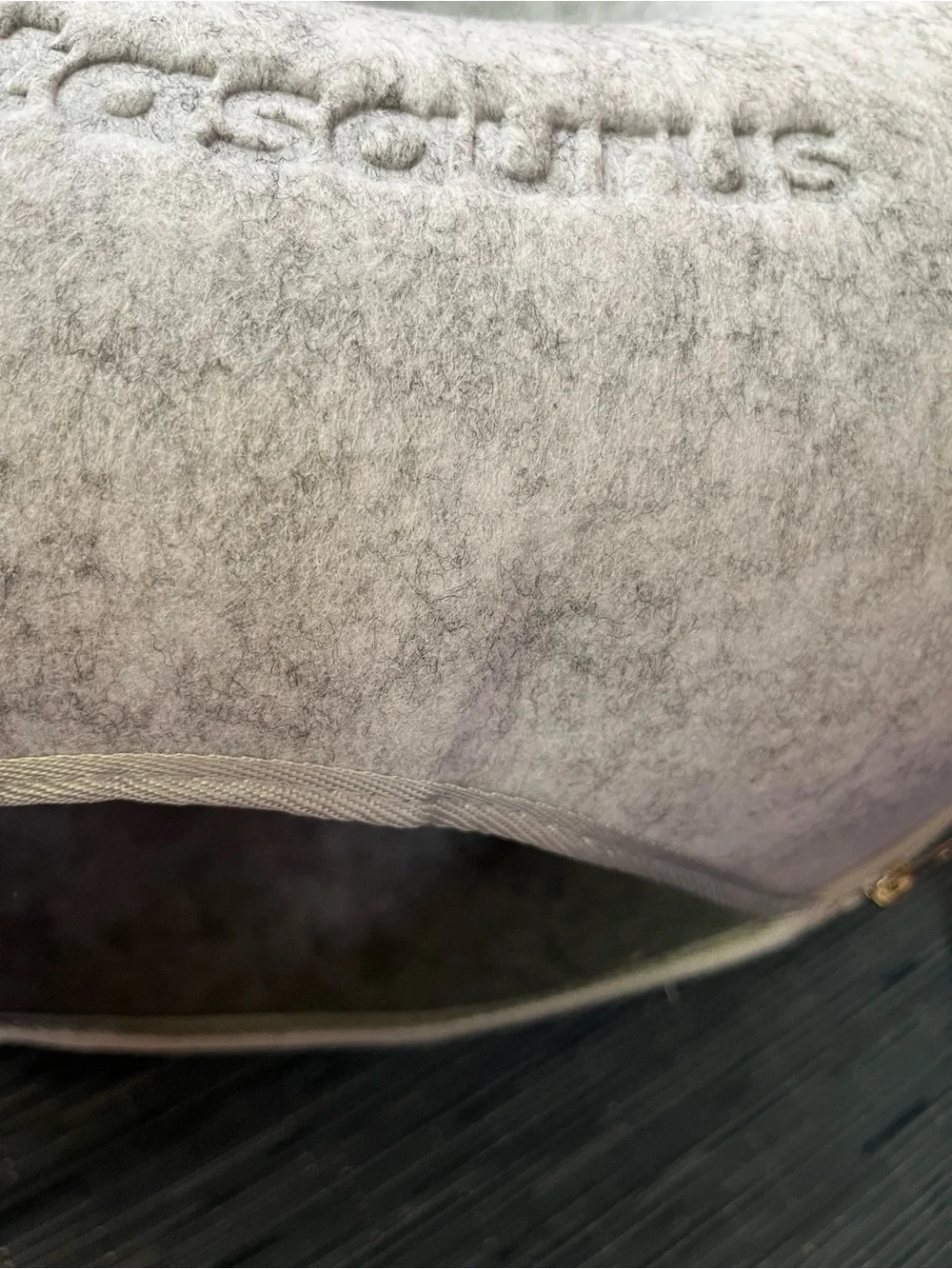 Cattasaurus cat bed
